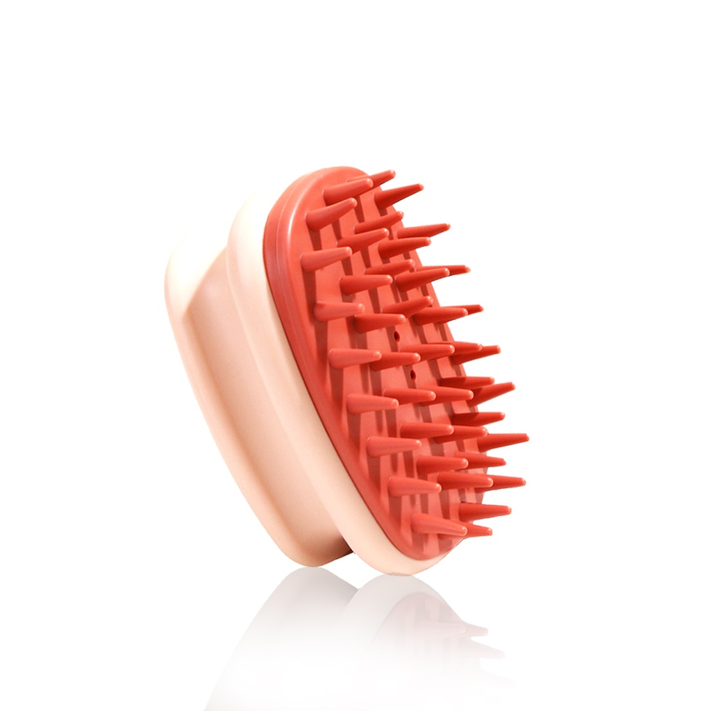Huaxiaomei Fashion Combs - Shampoo Hair Brush - Assorted Color